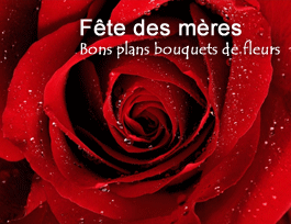 Retrouvez les bons plans fleurs de la fête des mères et profitez des offres spéciales et des bons de réduction des fleuristes en ligne