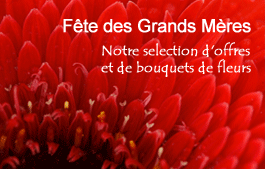 Commandez en ligne vos bouquets de fleurs pour la fête des Grands Mères