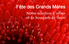 Commandez en ligne vos bouquets de fleurs pour la fte des Grands Mres