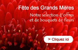 La fête des Grands Mères à l'honneur - Retrouvez les offres des fleuristes en ligne