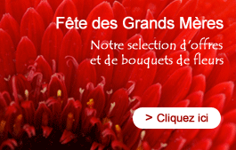 La fte des Grands Mres  l'honneur - Retrouvez les offres des fleuristes en ligne